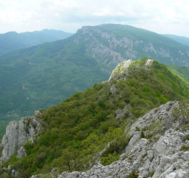 Влашка планина - връх Паница